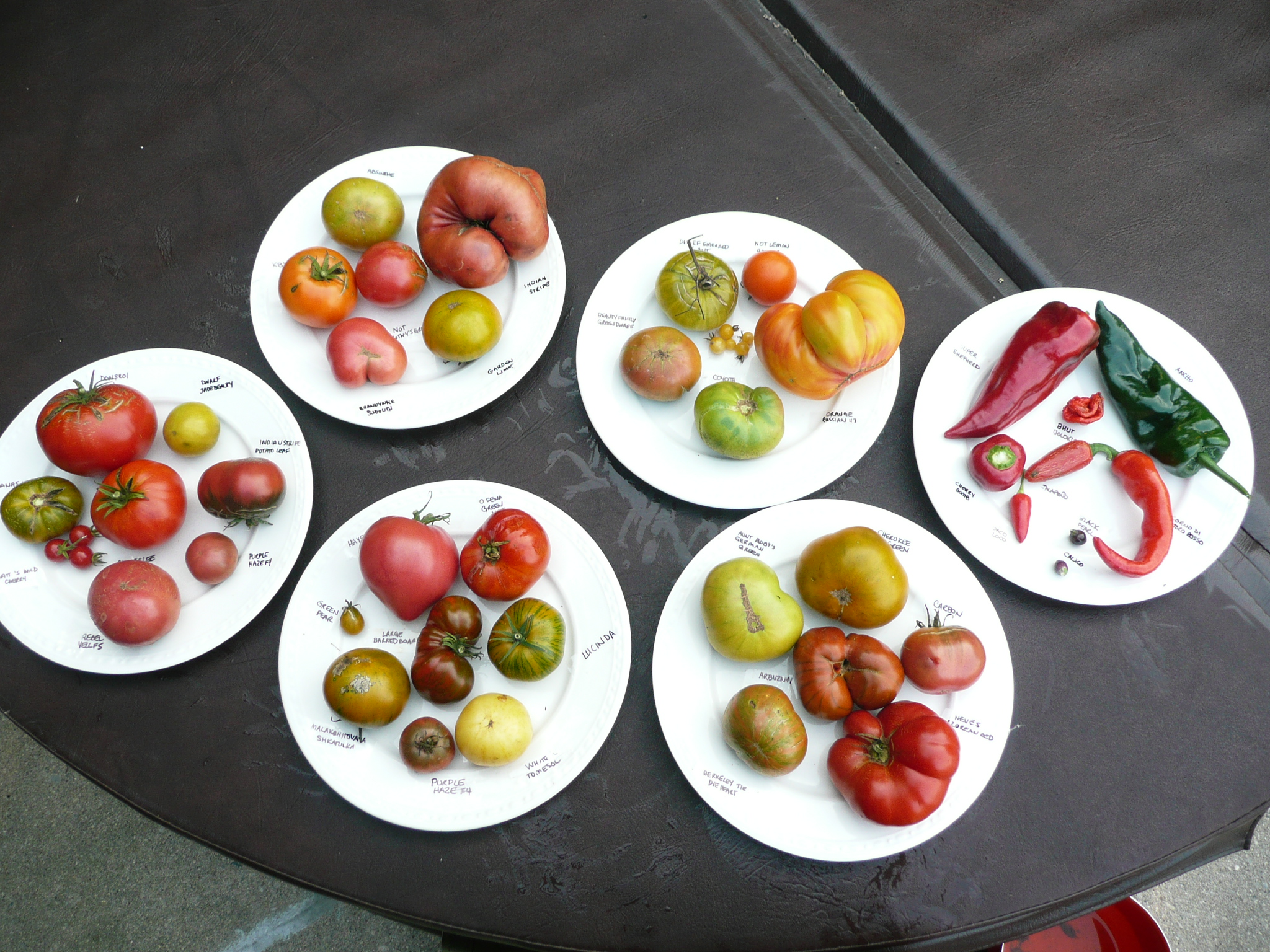 Try These Delicious and Similar-Tasting Tomato Varieties to Rebel Yell!